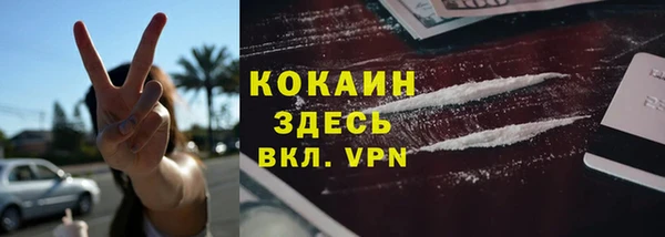 прущие грибы Рославль