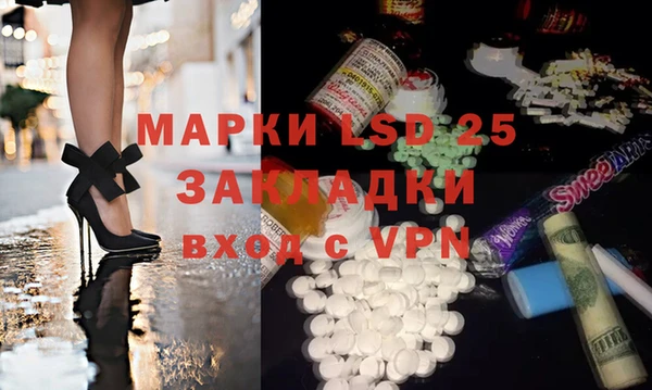 прущие грибы Рославль